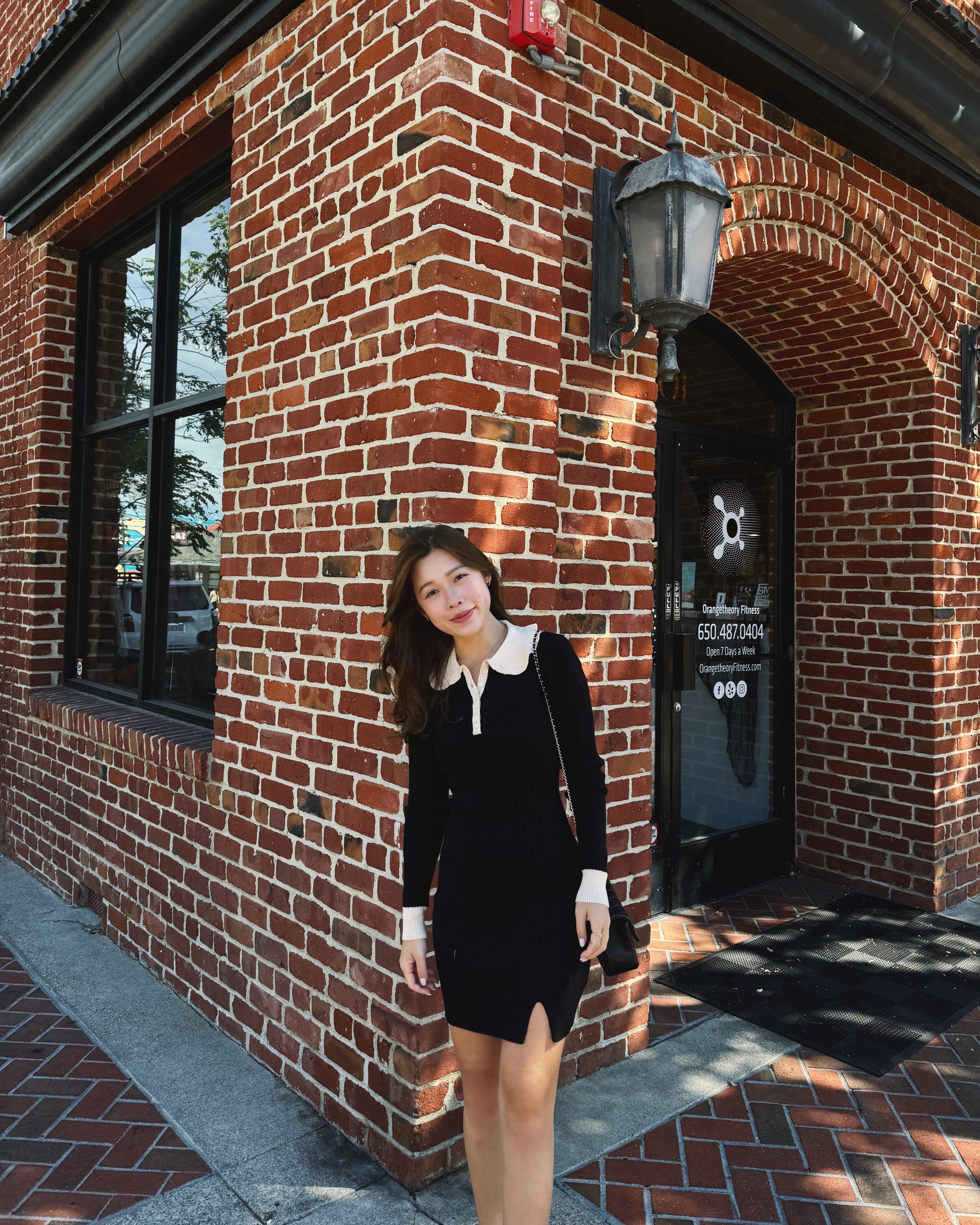 Collared Mini Sweater Dress