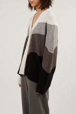 Intarsia Knit Cardigan