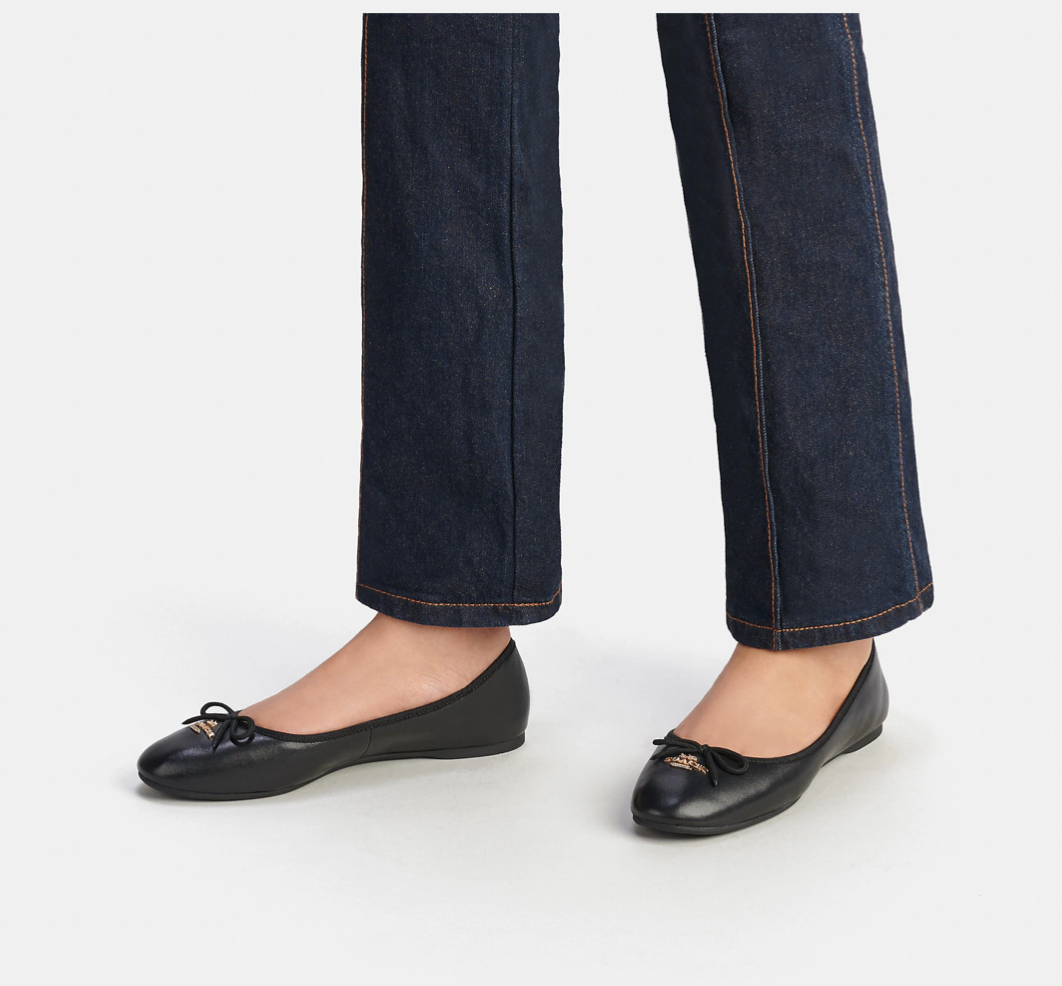 Earth alina 2025 ballet flat