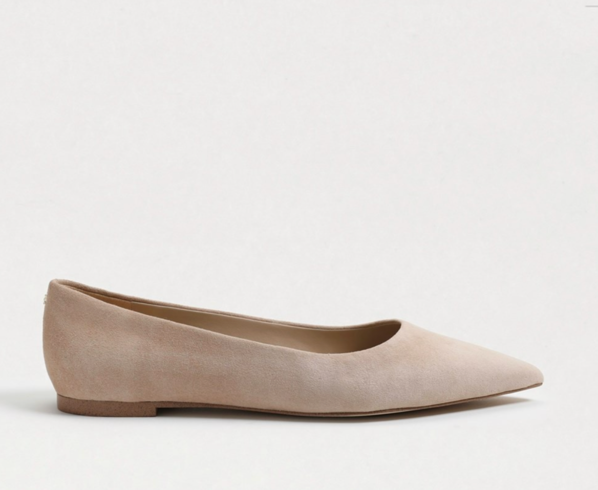 Pointed Toe Flat
