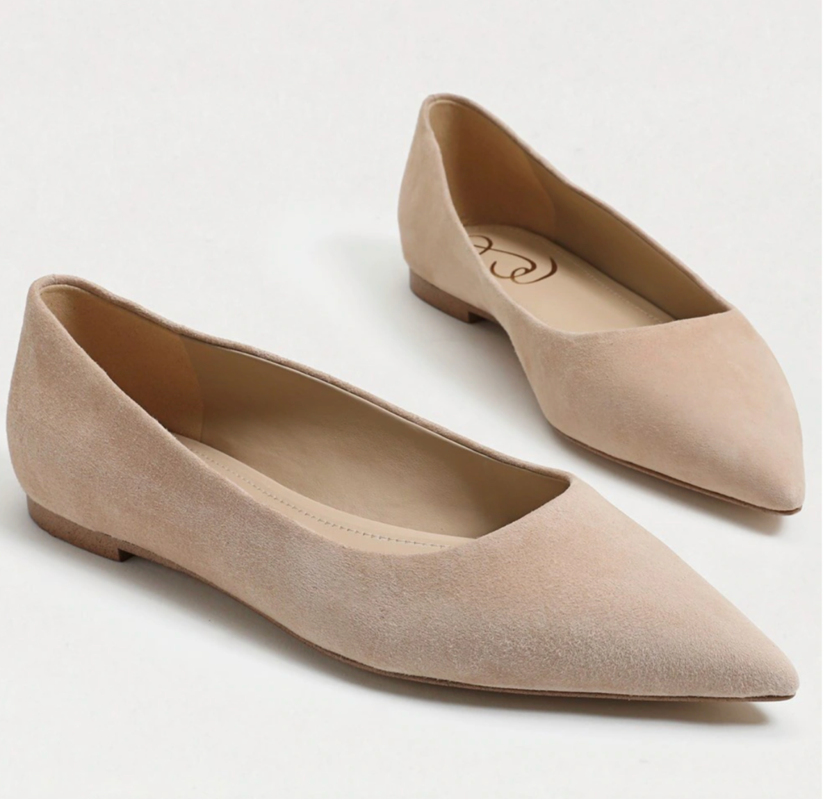 Pointed Toe Flat