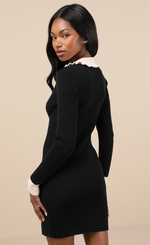 Collared Mini Sweater Dress