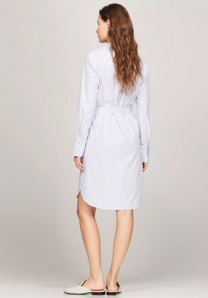 Belted Stripe Poplin Shirt Dress