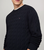 Men Cable Knit Sweater