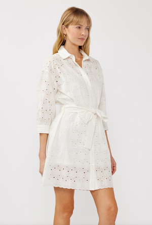 Poplin Dress Zara Long Sleeve White Dress Embroidered Eyelet Mini Shirt Dress Elephant Clouds Apparel Poplin Dress Zara Long Sleeve White Dress Embroidered Eyelet Mini Shirt Dress Elephant Clouds Apparel
