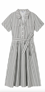 Ellory Cotton Shirt Dress