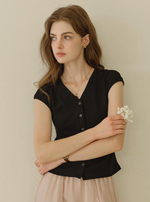 Blaire Simple V-Neck Blouse