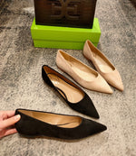 Pointed Toe Flat