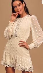 Embroidered Lace Long Sleeve Dress